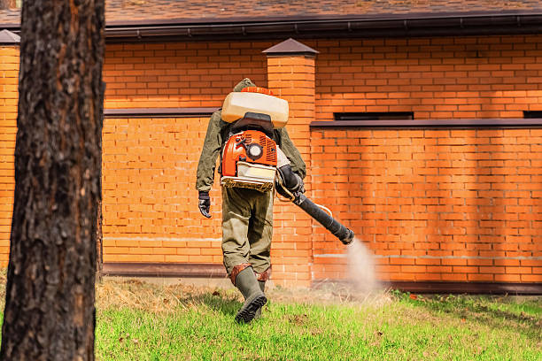 Trusted Ant Control service in Dravosburg, PA - Nex Pest Control